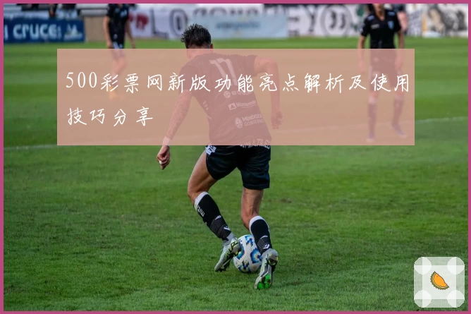 500彩票网新版功能亮点解析及使用技巧分享